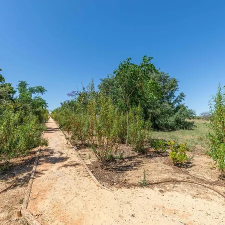 Villa Ria Endless South, Sitio Da Fortaleza Tavira